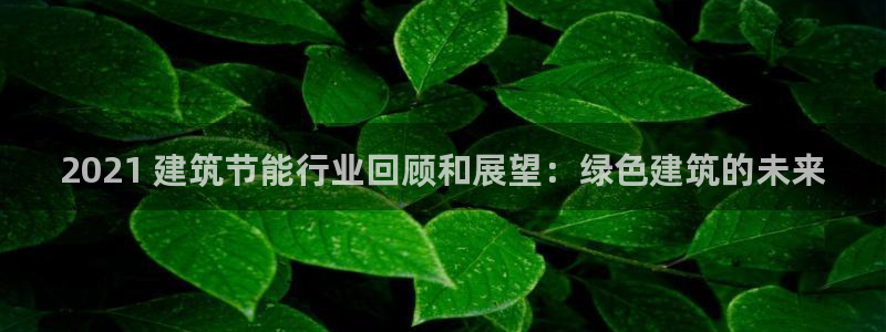 e尊国际网址：2021 建筑节能行业回顾和展望：绿色建筑的未来