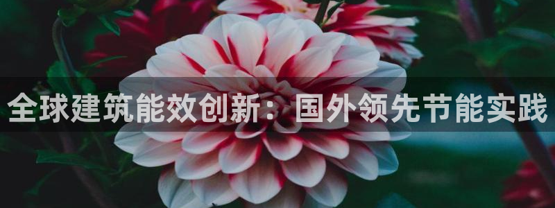 e尊国际app