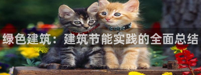 e尊国际平台：绿色建筑：建筑节能实践的全面总结