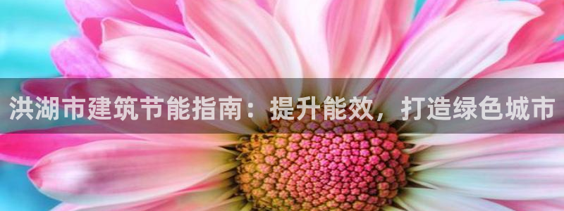 E尊国际网站：洪湖市建筑节能指南：提升能效，打造绿色城市