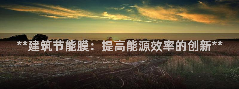 e尊国际app：**建筑节能膜：提高能源效率的创新**