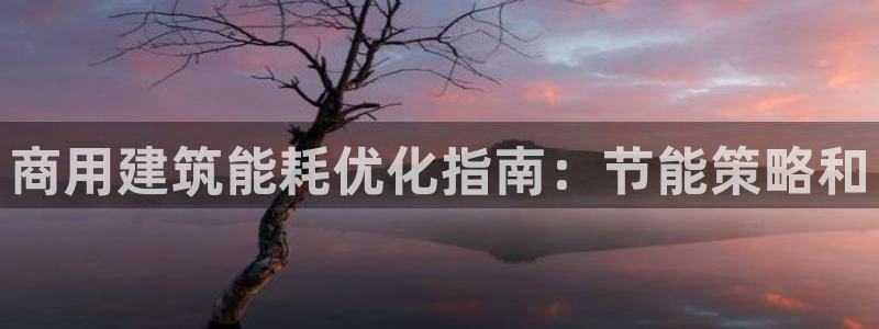 e尊国际官网app：商用建筑能耗优化指南：节能策略和