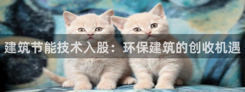 e尊国际官网·网址：建筑节能技术入股：环保建筑的创收机遇