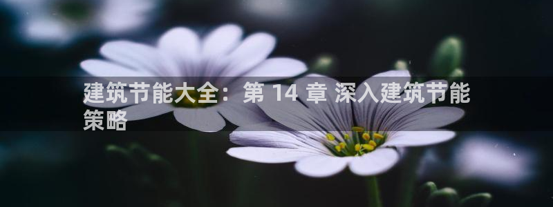 e尊国际是干什么的：建筑节能大全：第 14 章 深入建筑节能
策略