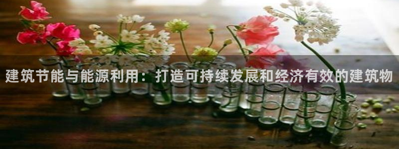 e尊国际地址