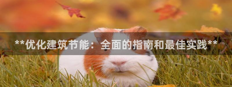 e尊国际客户端：**优化建筑节能：全面的指南和最佳实践**