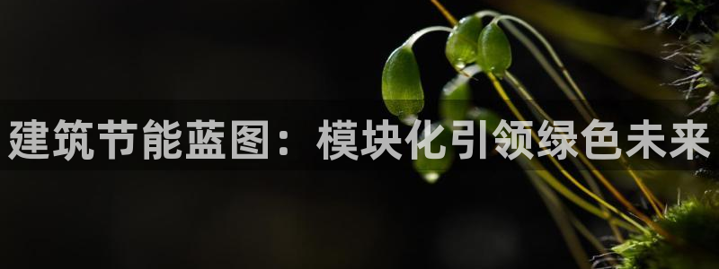 e尊国际是个黑网：建筑节能蓝图：模块化引领绿色未来