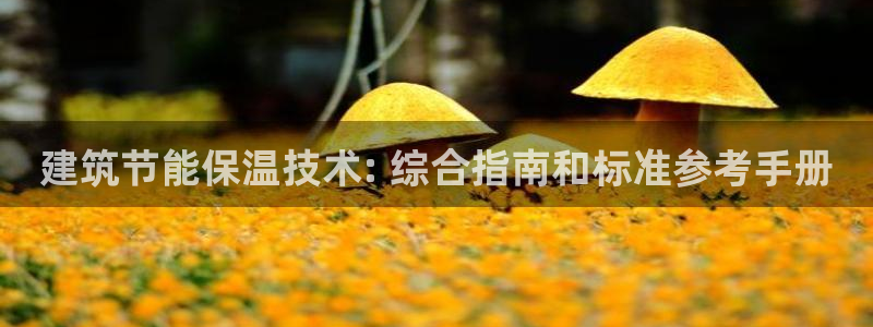 e尊国际客户端下载：建筑节能保温技术: 综合指南和标准参考手册