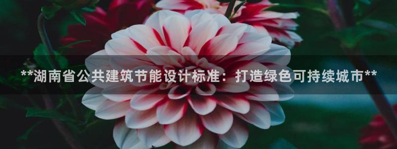 E尊国际网站：**湖南省公共建筑节能设计标准：打造绿色可持续城市**