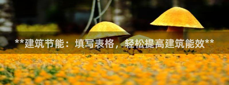 e尊国际app：**建筑节能：填写表格，轻松提高建筑能效**