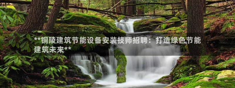 e尊国际网址：**铜陵建筑节能设备安装技师招聘：打造绿色节能
建筑未来**