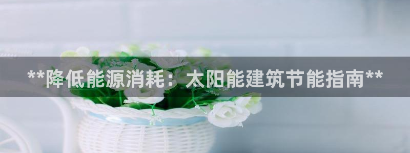 e尊国际网址：**降低能源消耗：太阳能建筑节能指南**