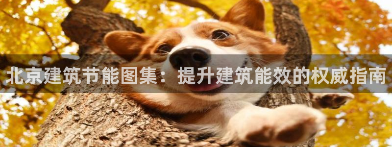 e尊国际官方网站：北京建筑节能图集：提升建筑能效的权威指南