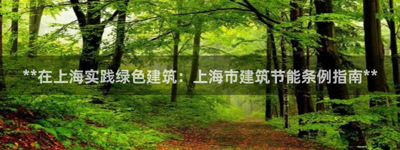 e尊国际7779：**在上海实践绿色建筑：上海市建筑节能条例指南**