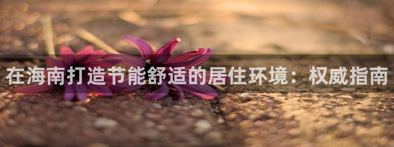 e尊国际网址：在海南打造节能舒适的居住环境：权威指南