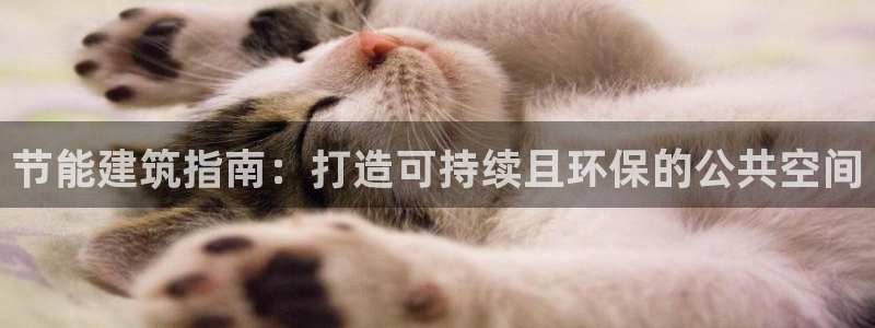 e尊国际app：节能建筑指南：打造可持续且环保的公共空间