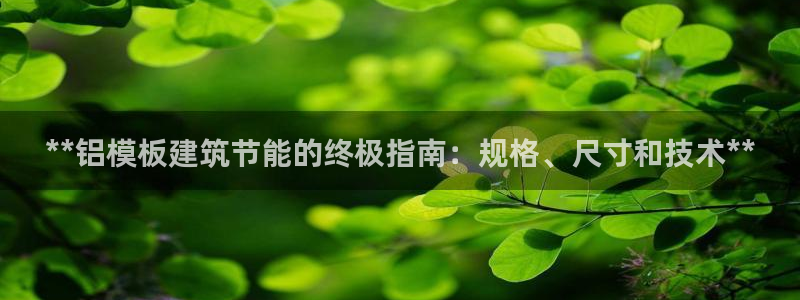 e尊国际客服：**铝模板建筑节能的终极指南：规格、尺寸和技术**