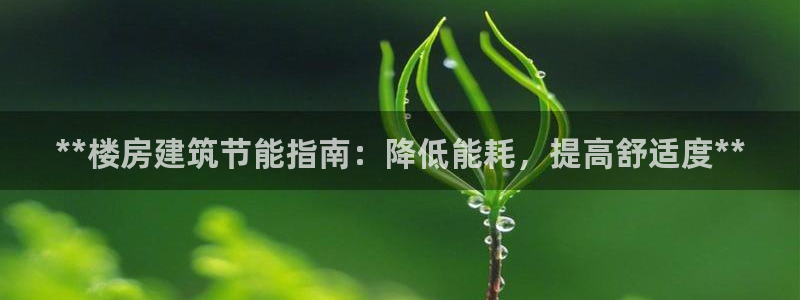 e尊国际官网·网址：**楼房建筑节能指南：降低能耗，提高舒适度**