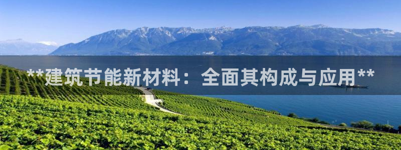 e尊国际的手机登录网站：**建筑节能新材料：全面其构成与应用**