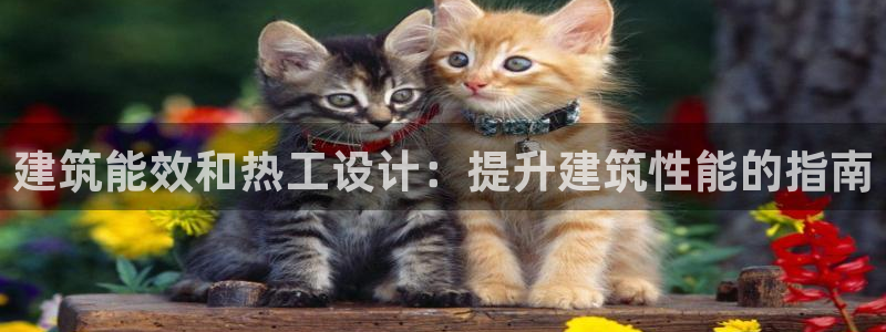 e尊国际地址：建筑能效和热工设计：提升建筑性能的指南