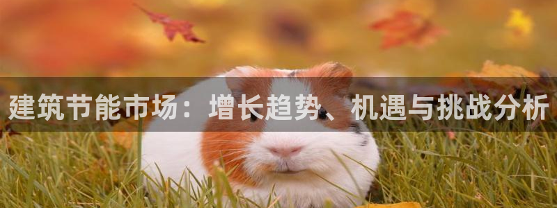 E尊国际网站