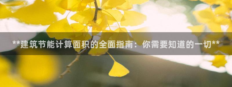 e尊国际可靠吗：**建筑节能计算面积的全面指南：你需要知道的一切**