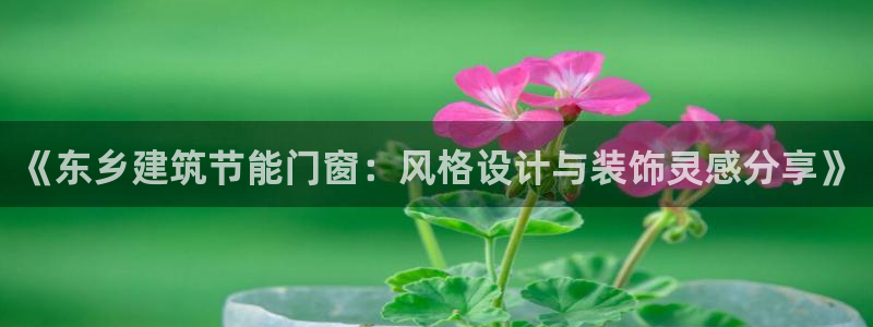 e尊国际官网app：《东乡建筑节能门窗：风格设计与装饰灵感分享》