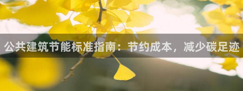 e尊国际平台：公共建筑节能标准指南：节约成本，减少碳足迹