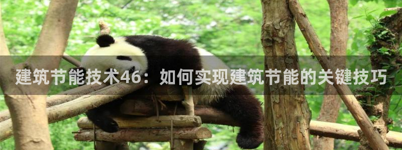 e尊国际的手机登录网站：建筑节能技术46：如何实现建筑节能的关键技巧
