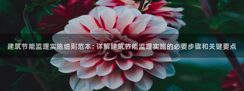 e尊国际app：建筑节能监理实施细则范本: 详解建筑节能监理实施的必要步骤和关键要点