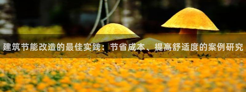 e尊国际娱乐官网下载：建筑节能改造的最佳实践：节省成本、提高舒适度的案例研究