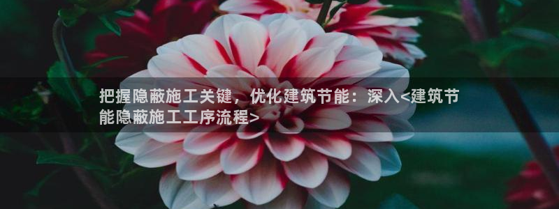 e尊国际是干什么的：把握隐蔽施工关键，优化建筑节能：深入<建筑节
能隐蔽施工工序流程>