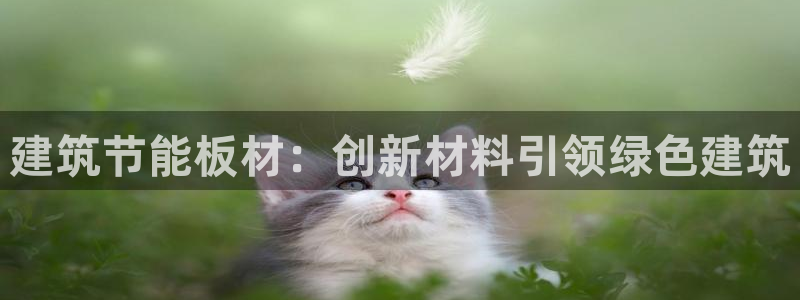 e尊国际-可可计划：建筑节能板材：创新材料引领绿色建筑