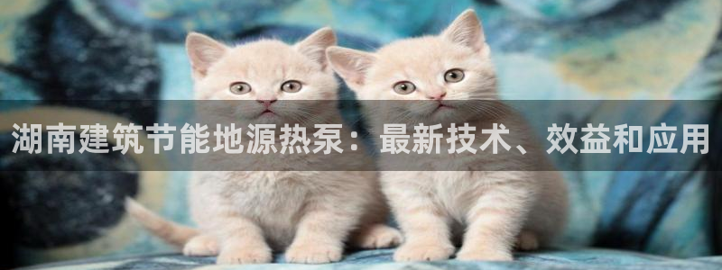 e尊国际娱乐官网地址：湖南建筑节能地源热泵：最新技术、效益和应用
