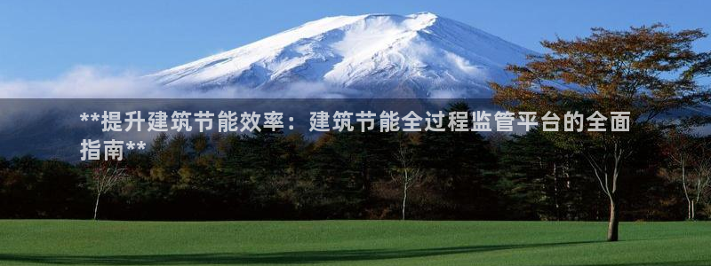 e尊国际是干什么的：**提升建筑节能效率：建筑节能全过程监管平台的全面
指南**