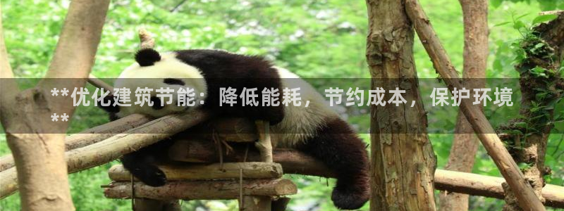 e尊国际官网·网址：**优化建筑节能：降低能耗，节约成本，保护环境
**