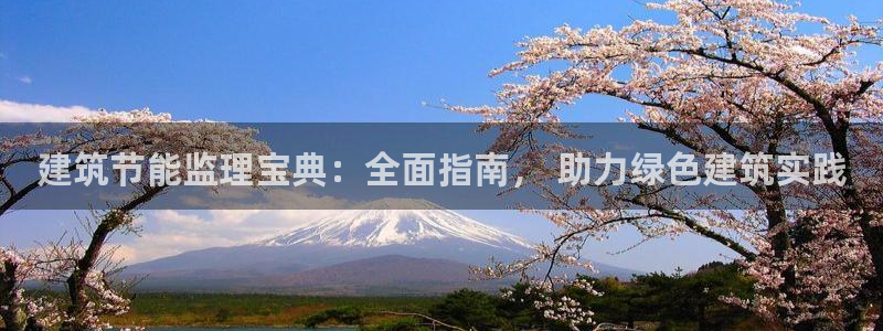 e尊国际是干什么的：建筑节能监理宝典：全面指南， 助力绿色建筑实践