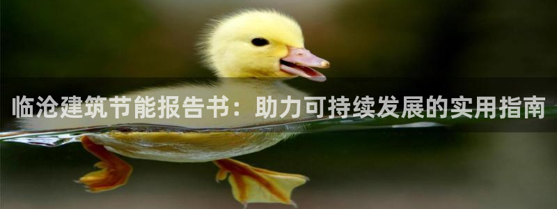 e尊电竞：临沧建筑节能报告书：助力可持续发展的实用指南