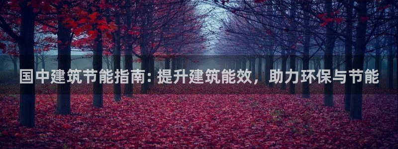 e尊官网：国中建筑节能指南: 提升建筑能效，助力环保与节能