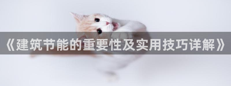 e尊国际官方网站：《建筑节能的重要性及实用技巧详解》