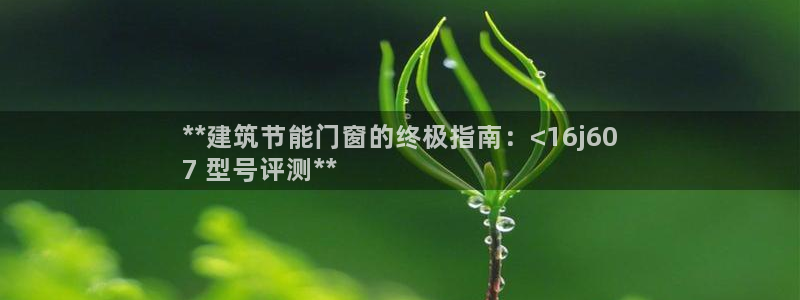 e尊国际网址：**建筑节能门窗的终极指南：<16j60
7 型号评测**