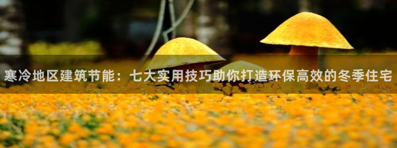 E尊国际：寒冷地区建筑节能：七大实用技巧助你打造环保高效的冬季住宅