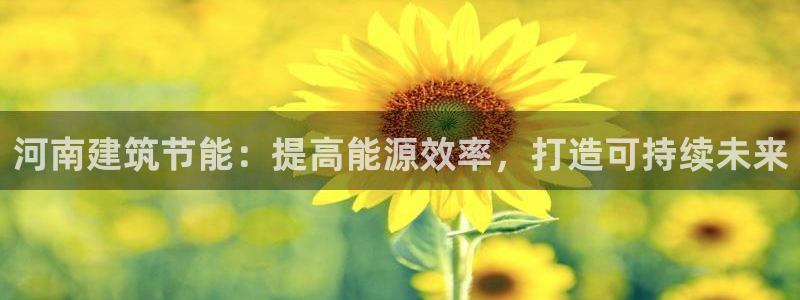 E尊国际网站：河南建筑节能：提高能源效率，打造可持续未来