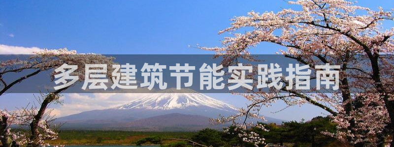 e尊平台：多层建筑节能实践指南