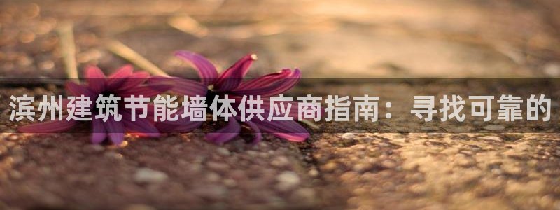 e尊国际客户端下载：滨州建筑节能墙体供应商指南：寻找可靠的