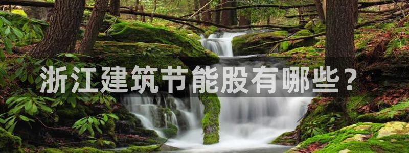 e尊平台：浙江建筑节能股有哪些？