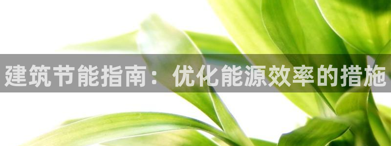 e尊国际娱乐官网下载：建筑节能指南：优化能源效率的措施