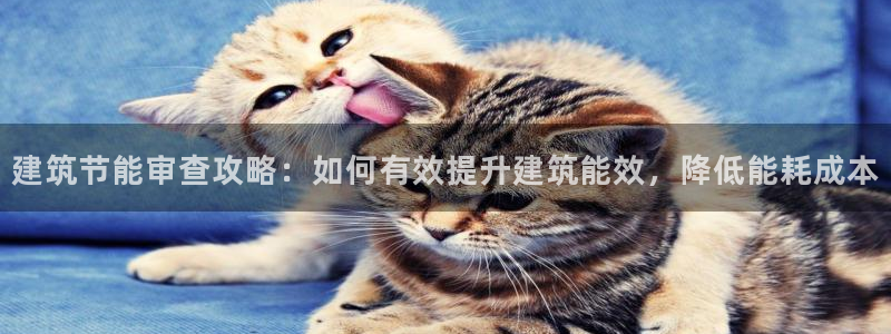 e尊官网：建筑节能审查攻略：如何有效提升建筑能效，降低能耗成本