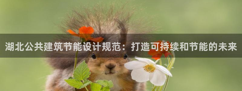 e尊国际的手机登录网站：湖北公共建筑节能设计规范：打造可持续和节能的未来