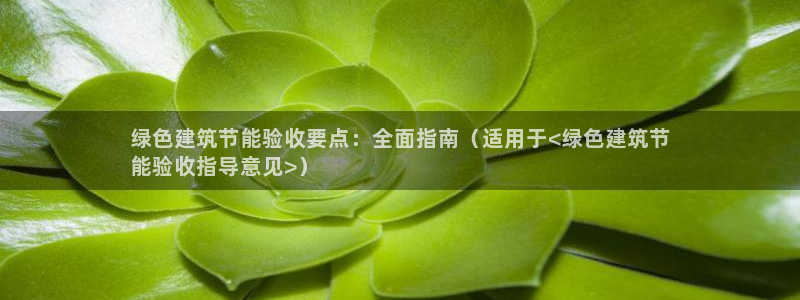 e尊平台：绿色建筑节能验收要点：全面指南（适用于<绿色建筑节
能验收指导意见>）